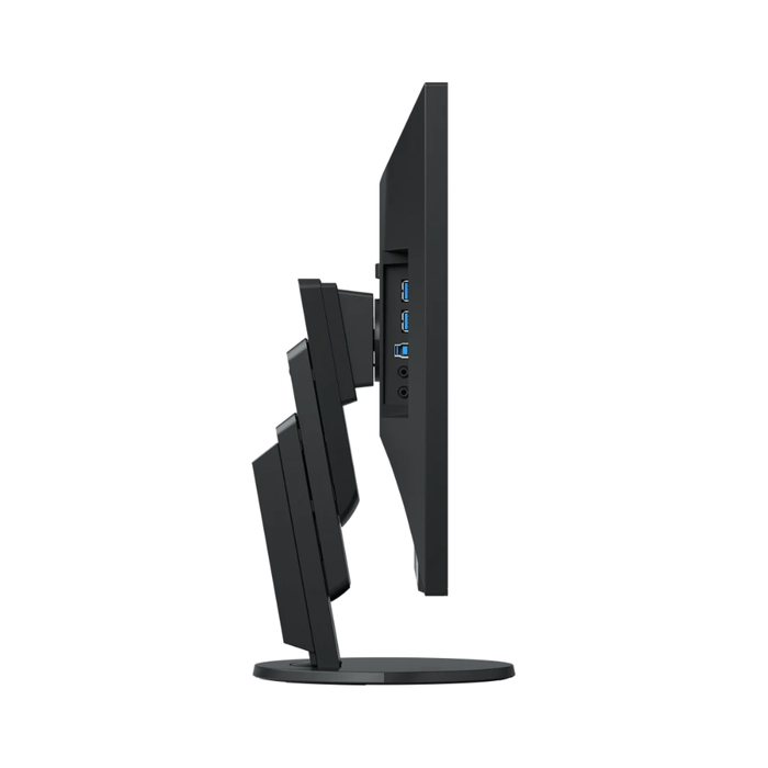 EIZO EV2456 24 inch FlexScan Monitor - Black