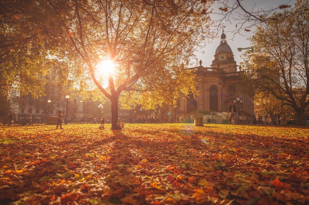 5 Tips for Making the Most out of Autumn Photography with Ross Jukes