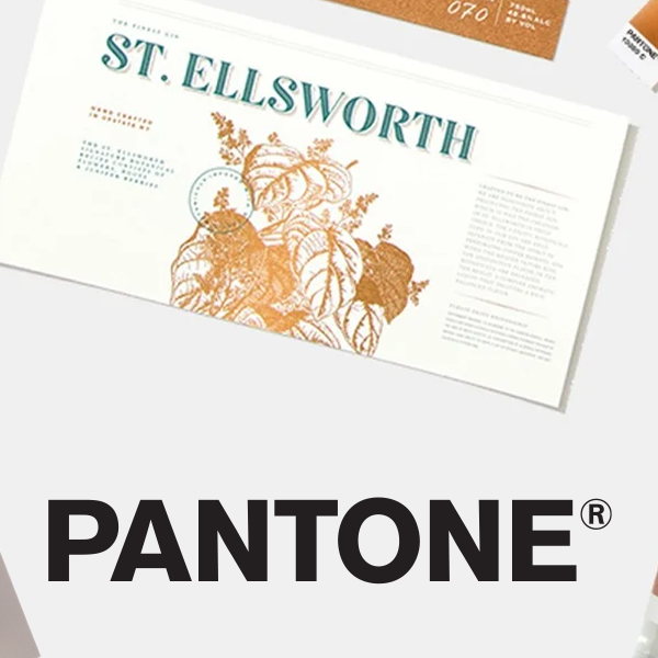 Why Does Colour Matter in Packaging Design?