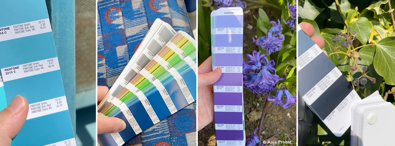 Colour Walks: The Best Mood Board You Aren’t Using