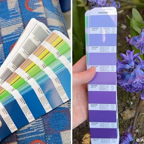 Colour Walks: The Best Mood Board You Aren’t Using
