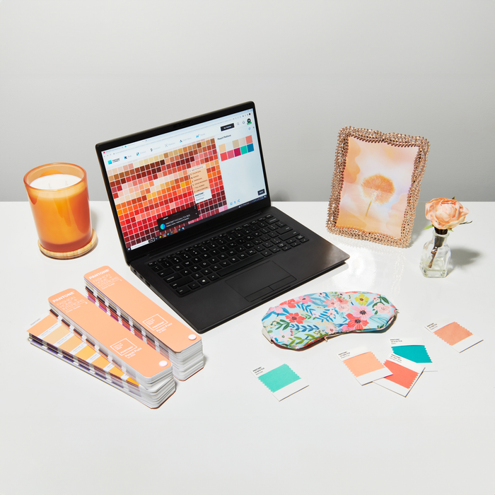 Image shows the PANTONE Colour of the Year 2024 FHI Color Guides next to a laptop which is being browsed for digital colour samples. On the desk there are some products with the same limited edition peach fuzz colour scheme and some colour swatches being used for analysis.