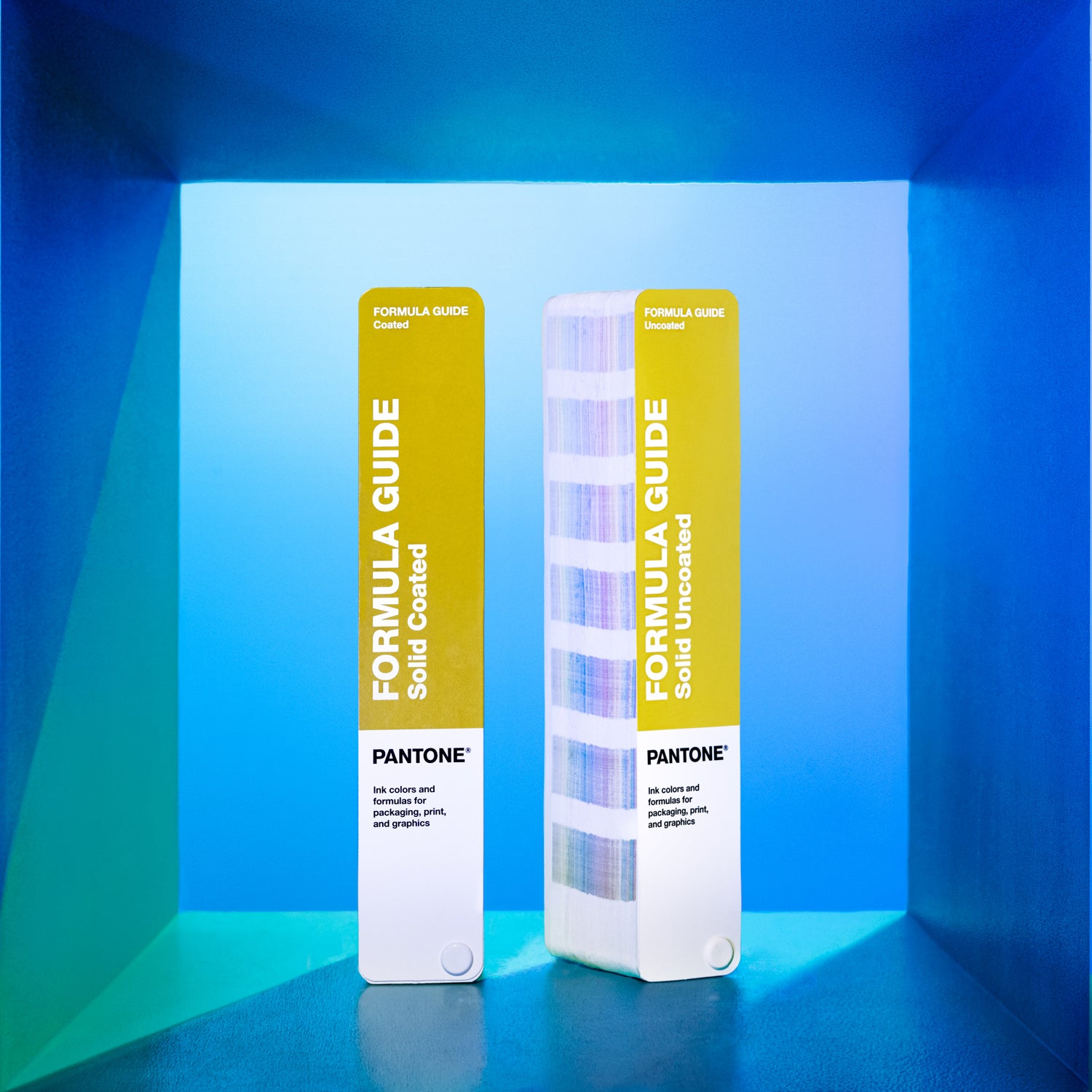PANTONE Formula Guide Set Coated and Uncoated — Color Confidence