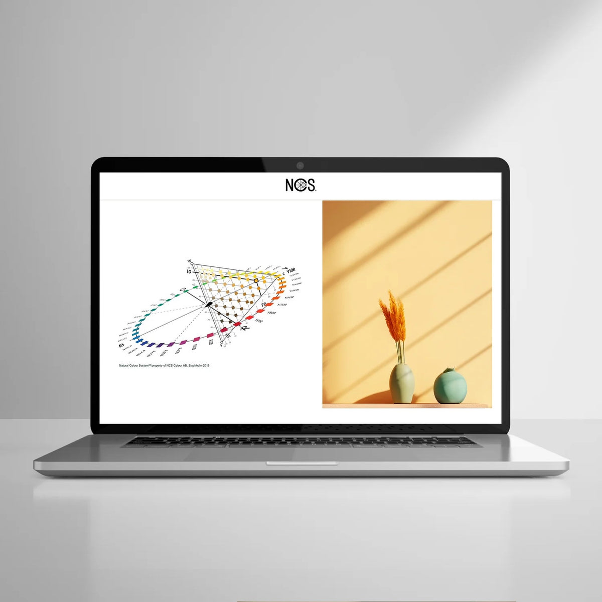 NCS Colour Communication Course — Color Confidence