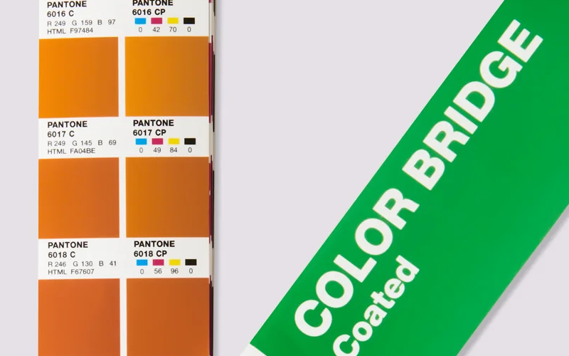 A close up of the PANTONE Color Bridge colour guide, showing colour swatches. The solid ink colour is displayed as a paper colour swatch next to its corresponding RGB colour code, next to the closest colour match in CMYK for printing.