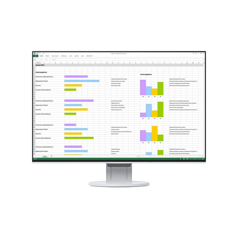 EIZO EV2456 24 Inch FlexScan Monitor - White