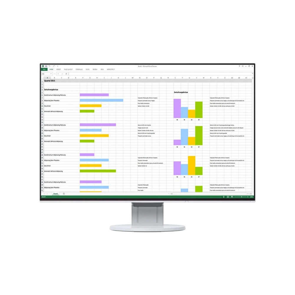 EIZO EV2456 24 Inch FlexScan Monitor - White — Color Confidence