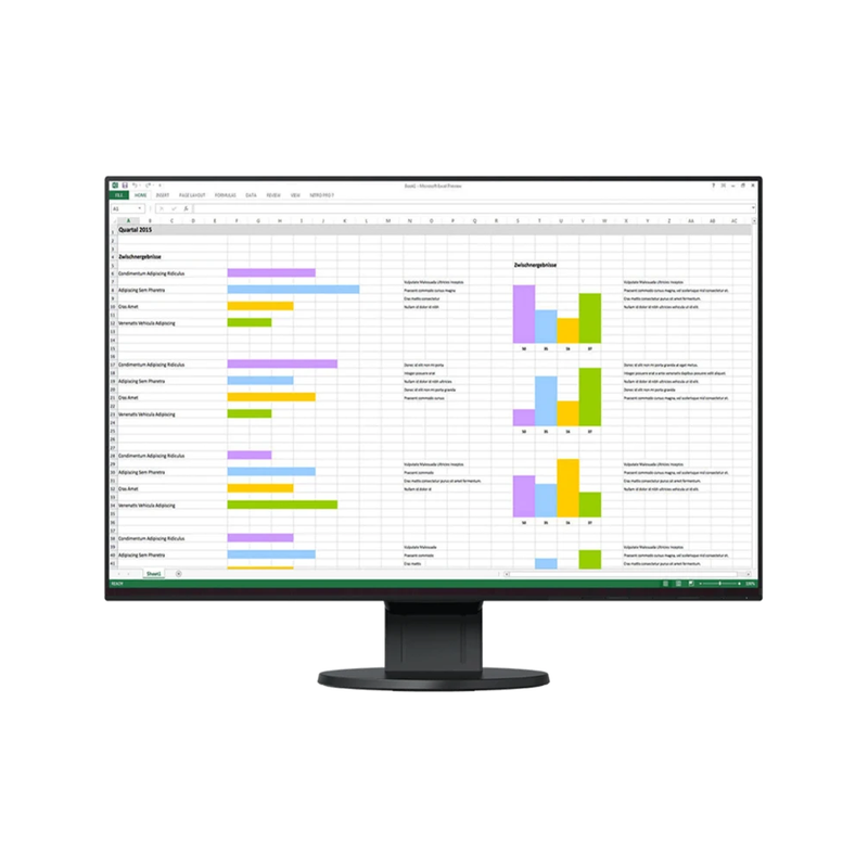 EIZO EV2456 24 Inch FlexScan Monitor Black