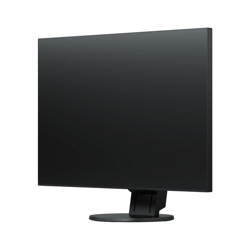 EIZO EV2456 24 Inch FlexScan Monitor Black