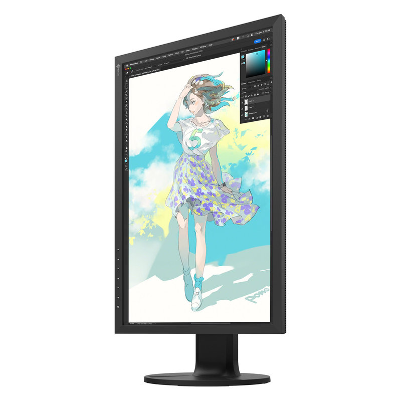 Eizo ColorEdge CS2400R 24 Inch Monitor