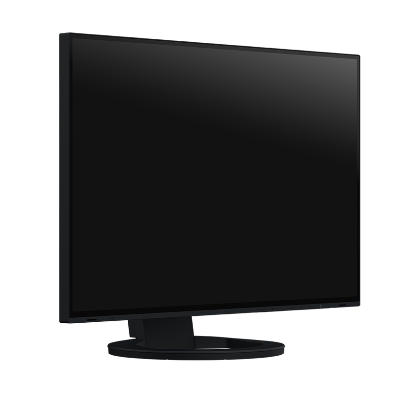 EIZO FlexScan EV2495 24 Inch LED Monitor