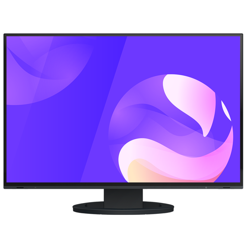 EIZO FlexScan EV2495 24 Inch LED Monitor